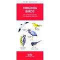 Waterford Press Waterford Press WFP1583550991 Virginia Birds Book: An Introduction to Familiar Species (State Nature Guides) WFP1583550991